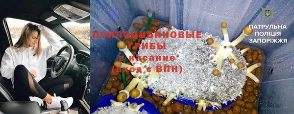 не бодяженный Богородицк