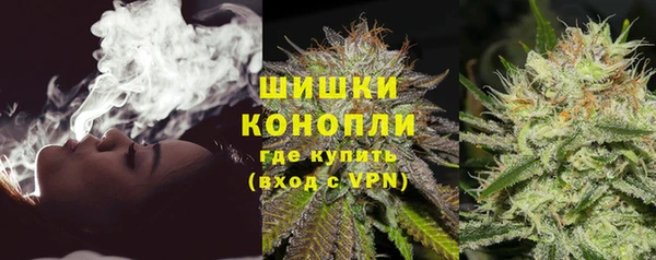 гидропоника Богданович